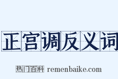正宫调反义词是什么意思的图片